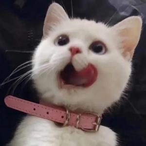 勒出唇形的女星
